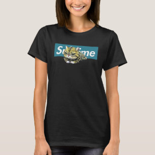 Adorable Angry Cat Niedliche Pelze Katze in einer T-Shirt