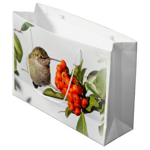 Adorable Anna's Hummingbird über Berry Bush Große Geschenktüte