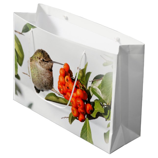 Adorable Anna's Hummingbird über Berry Bush Große Geschenktüte (Vorderseite Schrägansicht)