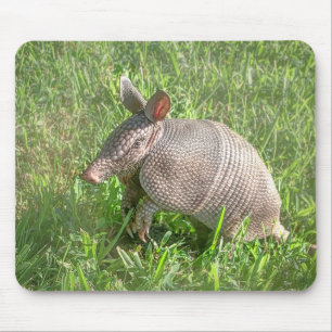 Adorable Baby Armadillo Mousepad