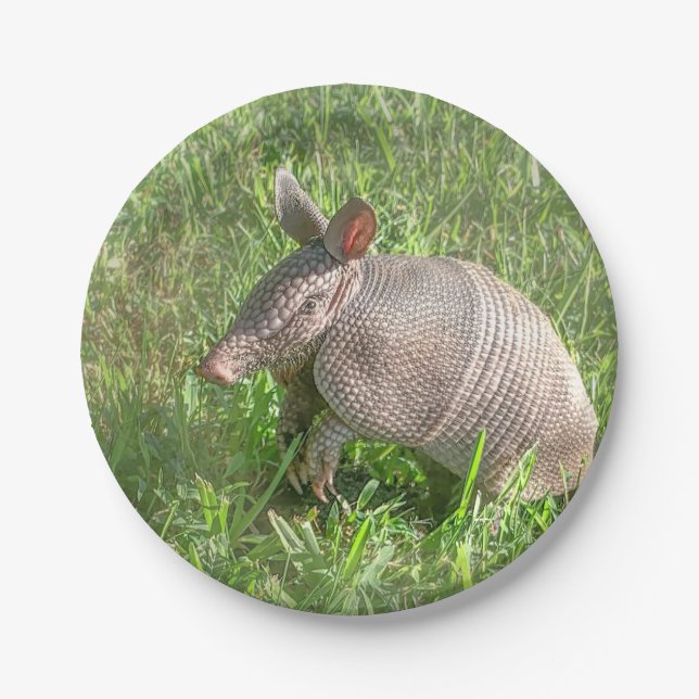 Adorable Baby Armadillo Pappteller (Vorderseite)