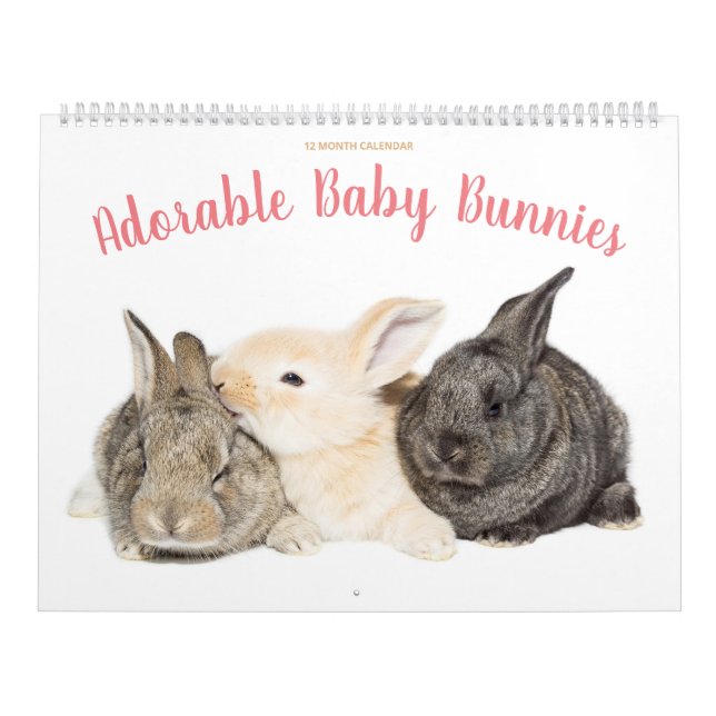 Adorable Baby Bunnies Kalender (Titelbild)