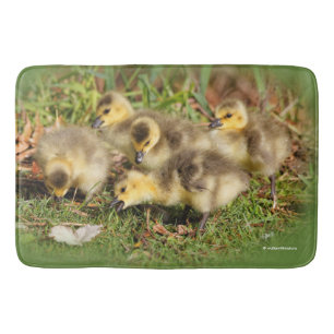 Adorable Baby Canada Gänse auf dem Gras Badematte