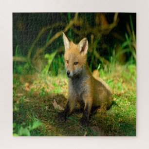 Adorable Baby Fox Puzzle