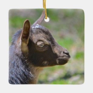 Adorable Baby Goat Keramikornament