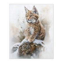 Adorable Baby Lynx - Aquarellkunst