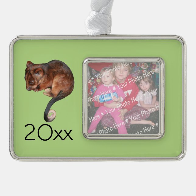 Adorable Baby Ringtail Possum in Australien Rahmen-Ornament Silber (Vorderseite)