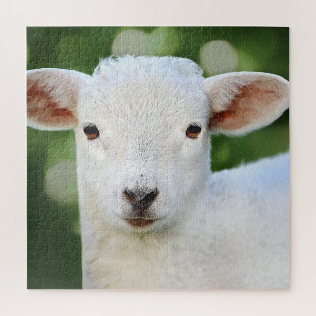Adorable Baby Sheep Puzzle (Vertikal)