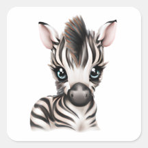 Adorable Baby Zebra