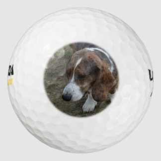 Adorable Basset Hound Golfball