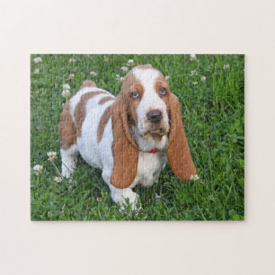 Adorable Basset Hound Puppy Puzzle