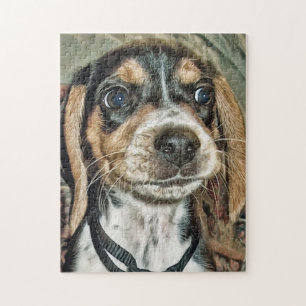 Adorable Beagle Puppy Puzzle