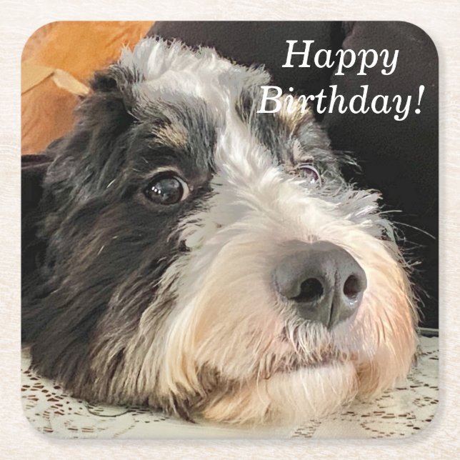 Adorable Bernedoodle Rechteckiger Pappuntersetzer (Vorderseite)