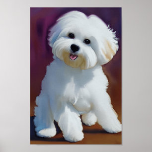 Adorable Bichon Havanese Puppy Watercolor Poster