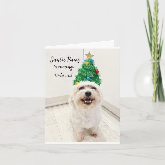 Adorable Bichon Maltese Weihnachtskarte Santa Paws Karte (Vorderseite)