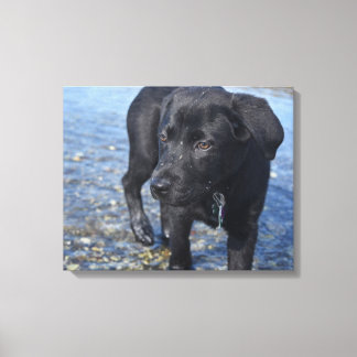 Adorable Black Lab Welpenhund Leinwanddruck