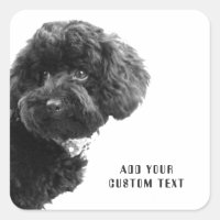 ©Adorable Black Poodle Puppy Custom Square Sticker