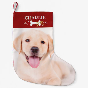 Adorable Bone Custom Foto Pet Hund Kleiner Weihnachtsstrumpf