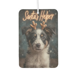 Adorable Border Collie Puppy als Helfer des Weihna Autolufterfrischer
