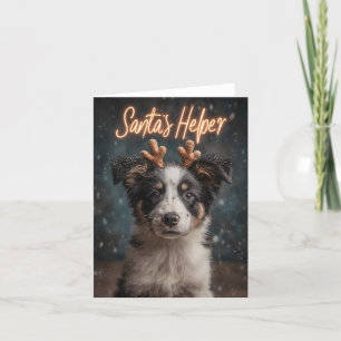 Adorable Border Collie Puppy als Helfer des Weihna Feiertagskarte