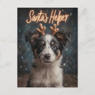 Adorable Border Collie Puppy als Helfer des Weihna Feiertagspostkarte