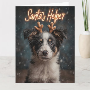 Adorable Border Collie Puppy als Helfer des Weihna Karte