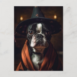 Adorable Boston Terrier Halloween Postkarte