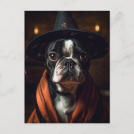 Adorable Boston Terrier Hexe Postkarte