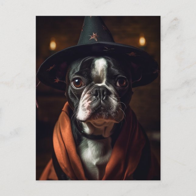 Adorable Boston Terrier Hexe Postkarte (Vorderseite)