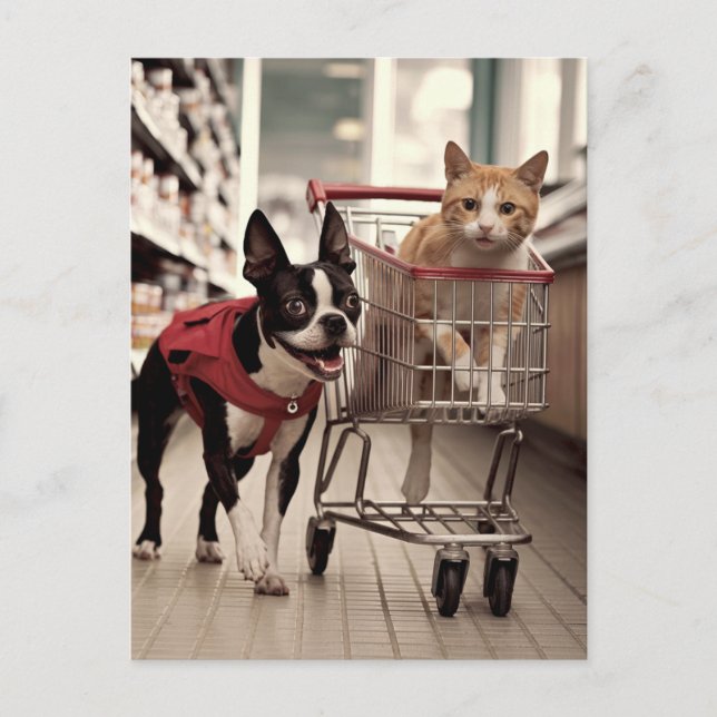 Adorable Boston Terrier und ein Ginger Cat Shoppin Postkarte (Vorderseite)