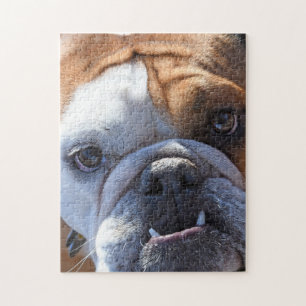 Adorable Bulldog Puzzle