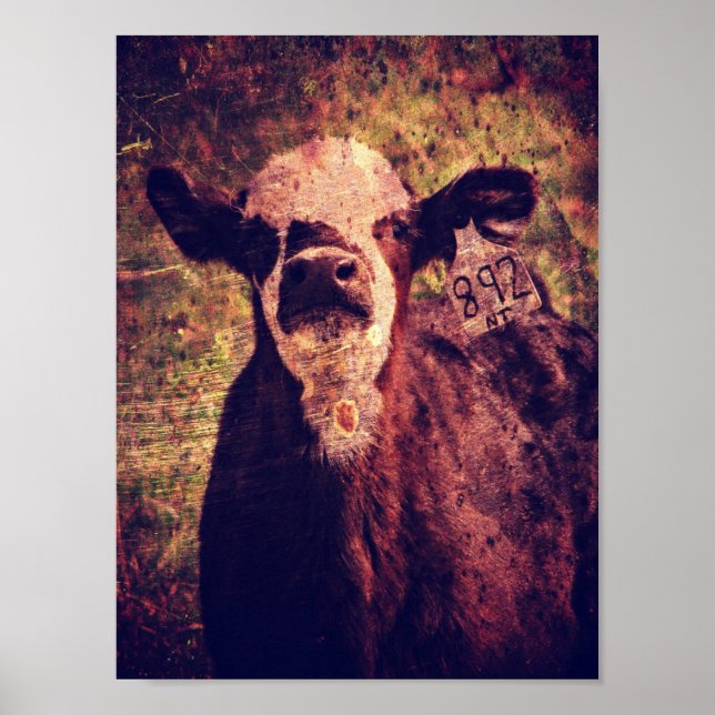 Adorable Calf Grunge Poster (Vorne)