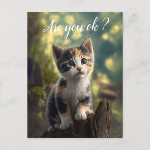 Adorable Calico Kitten ist betroffen Postkarte