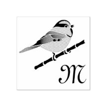 Adorable Carolina Chickadee Cartoon