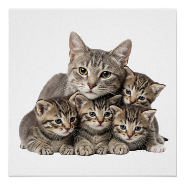 "Adorable Cat Family Cuddle" Poster (Vorderseite)