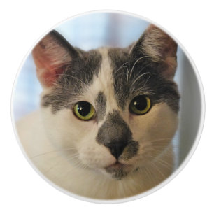 Adorable Cat Keramikknauf