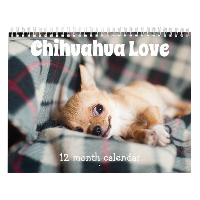 Adorable Chihuahua Dogs 2026 Kalender (Titelbild)