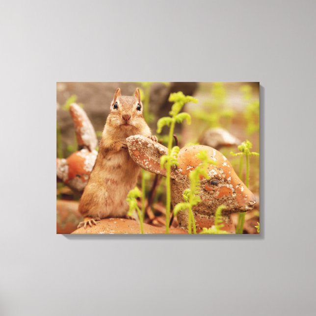 Adorable Chipmunk auf Statue Wrapped Canvas Leinwanddruck (Vorderseite)