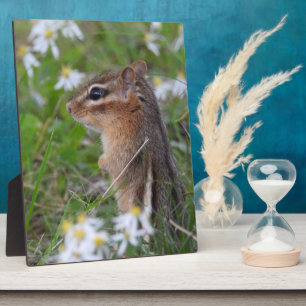 Adorable Chipmunk in Blume Fotoplatte