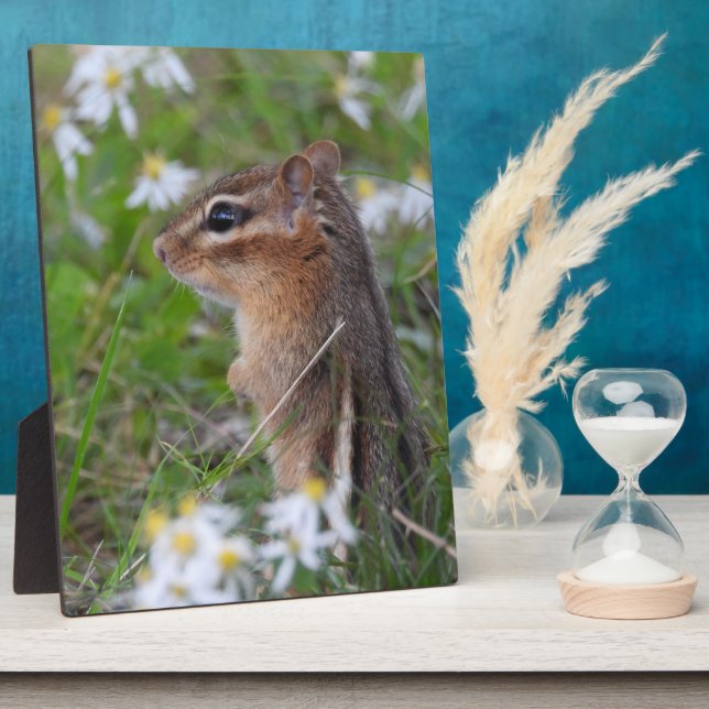 Adorable Chipmunk in Blume Fotoplatte (Seite)