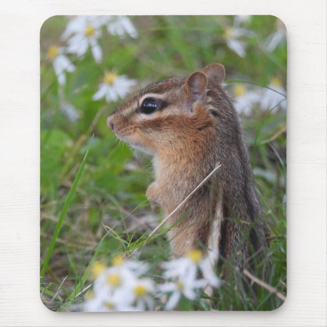 Adorable Chipmunk in Blume Mousepad (Vorne)