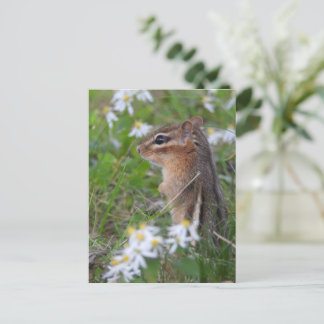 Adorable Chipmunk in Blume Postkarte