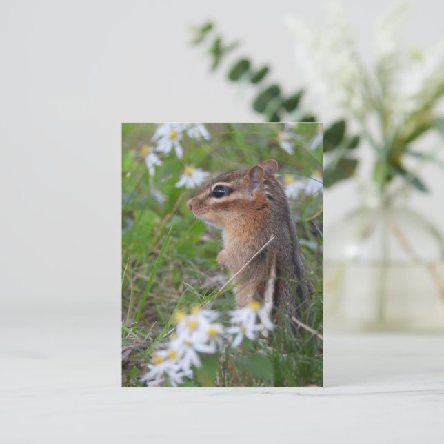 Adorable Chipmunk in Blume Postkarte (Stehend Vorderseite)