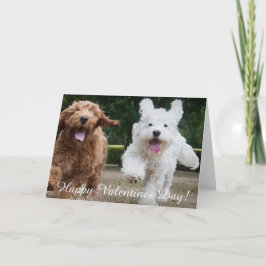 Adorable Cockapoo Welpen | Valentinstag-Karte Feiertagskarte