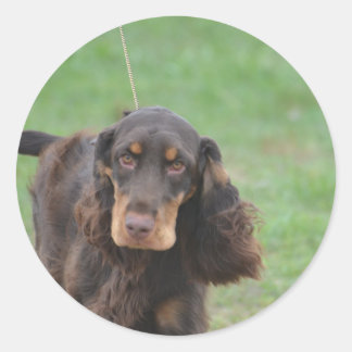 Adorable Cocker Spanel Runder Aufkleber
