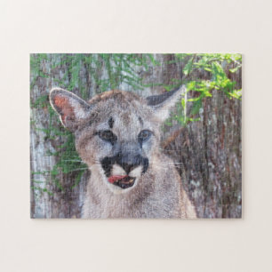 Adorable Cub - Florida Panther / Cougar / Puma Puzzle