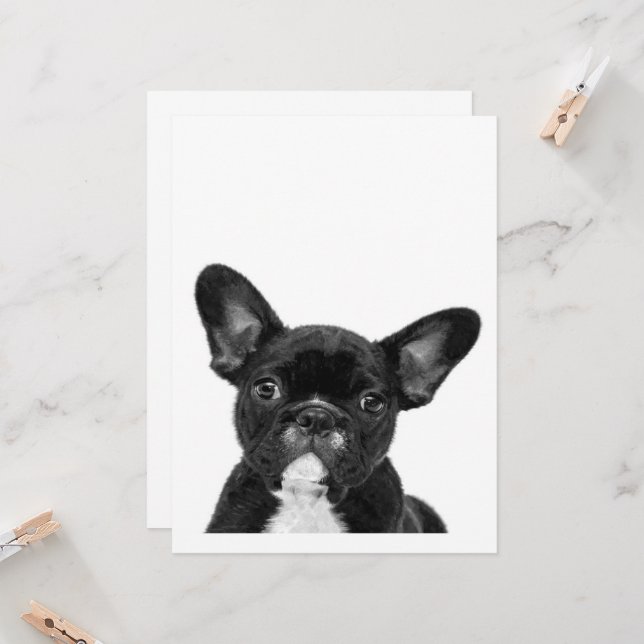 Adorable Dog | Black French Bulldog Face (Vorderseite/Rückseite Beispiel)