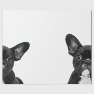 Adorable Dog Black French Bulldog Face Geschenkpapier