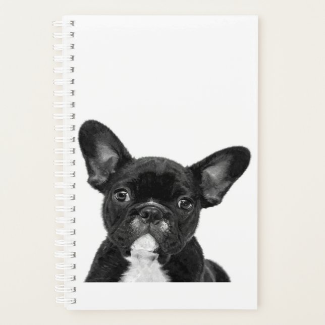 Adorable Dog | Black French Bulldog Face Planer (Vorderseite)