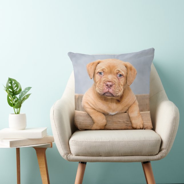 Adorable Dogue de Bordeaux Welpe, Throw Kissen (Stuhl )